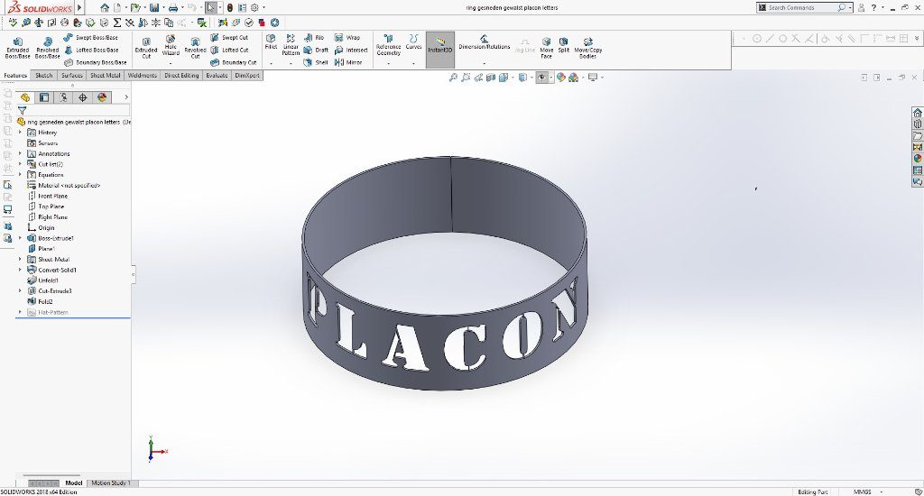 PLACON-ring 3D-model in SolidWorks